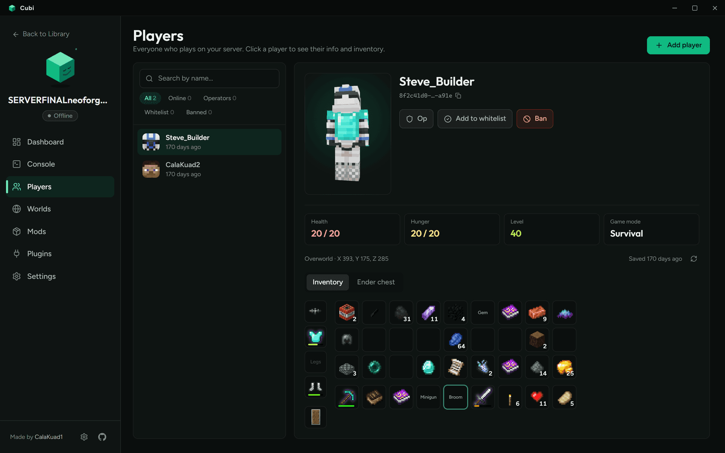 Player card with 3D skin and inventory